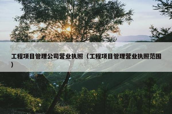 工程项目管理公司营业执照（工程项目管理营业执照范围）