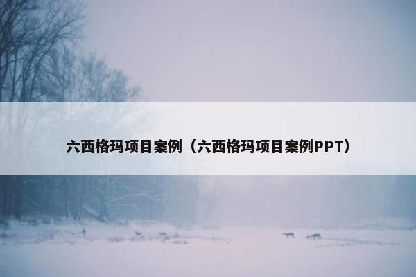 六西格玛项目案例（六西格玛项目案例PPT）