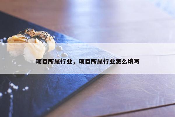 项目所属行业，项目所属行业怎么填写