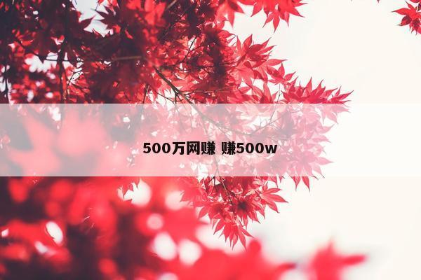 500万网赚 赚500w