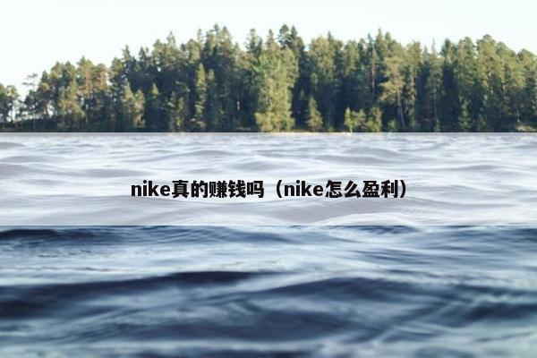 nike真的赚钱吗（nike怎么盈利）