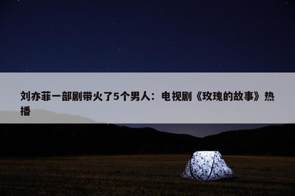 刘亦菲一部剧带火了5个男人：电视剧《玫瑰的故事》热播