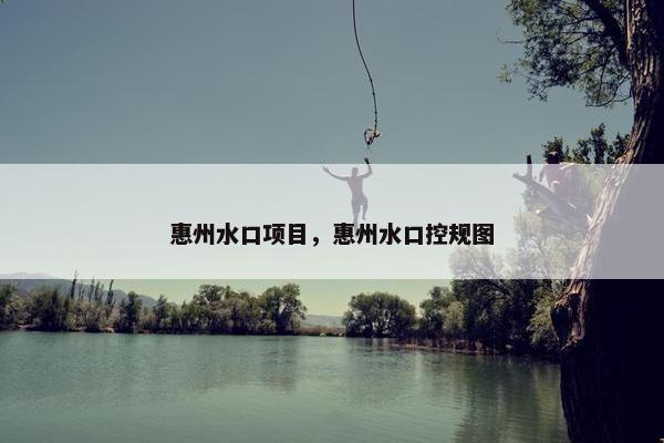 惠州水口项目，惠州水口控规图