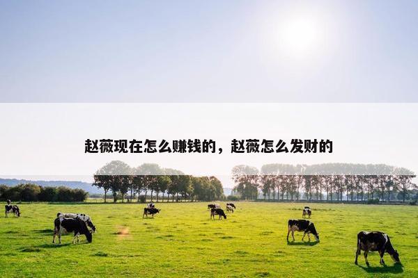 赵薇现在怎么赚钱的，赵薇怎么发财的