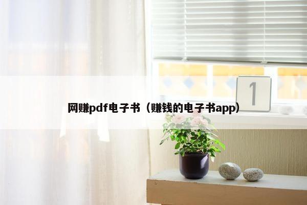 网赚pdf电子书（赚钱的电子书app）