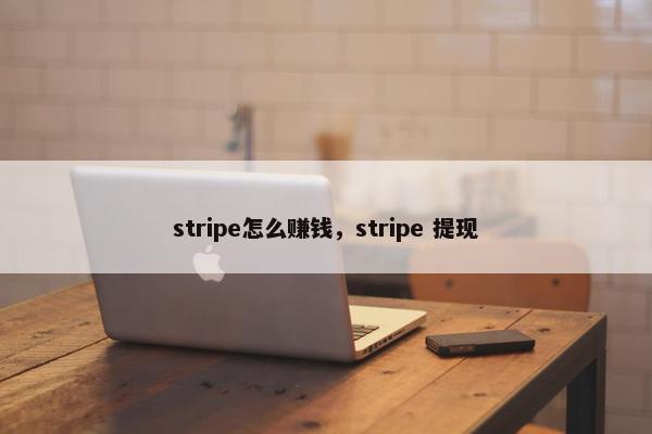 stripe怎么赚钱，stripe 提现