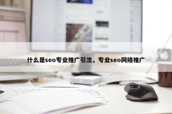 什么是seo专业推广引流，专业seo网络推广