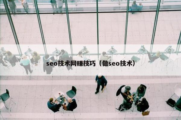 seo技术网赚技巧（做seo技术）