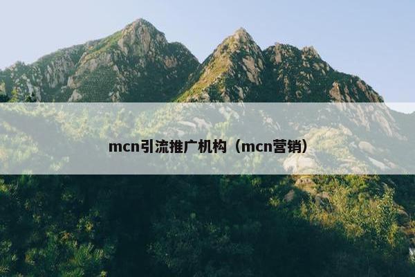 mcn引流推广机构（mcn营销）