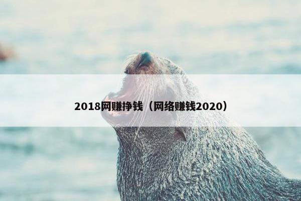 2018网赚挣钱（网络赚钱2020）