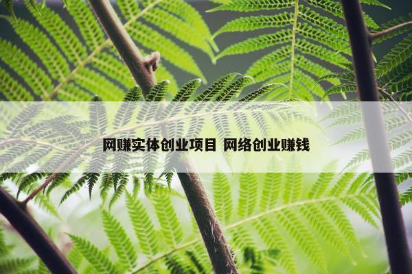 网赚实体创业项目 网络创业赚钱