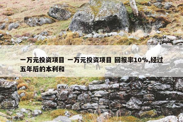 一万元投资项目 一万元投资项目 回报率10%,经过五年后的本利和