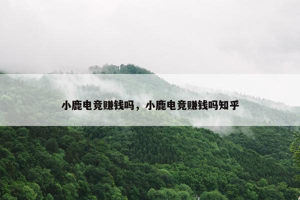 小鹿电竞赚钱吗，小鹿电竞赚钱吗知乎