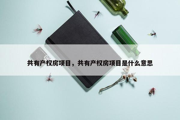 共有产权房项目，共有产权房项目是什么意思