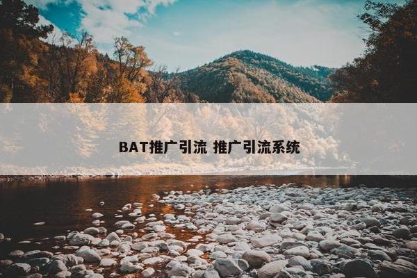 BAT推广引流 推广引流系统