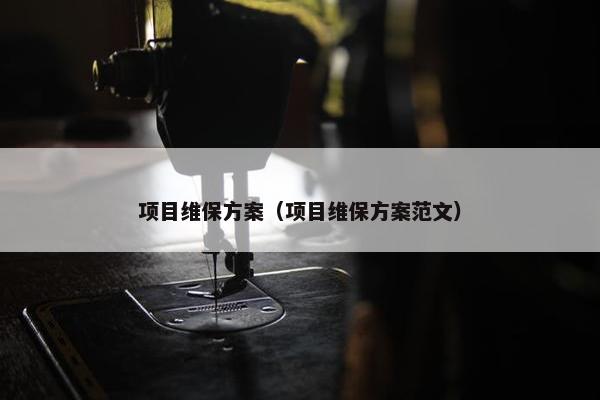 项目维保方案（项目维保方案范文）