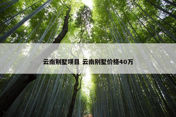 云南别墅项目 云南别墅价格40万