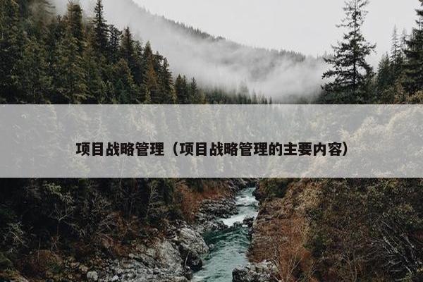 项目战略管理（项目战略管理的主要内容）