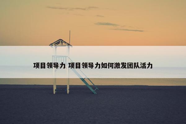 项目领导力 项目领导力如何激发团队活力