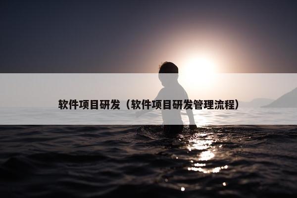 软件项目研发（软件项目研发管理流程）