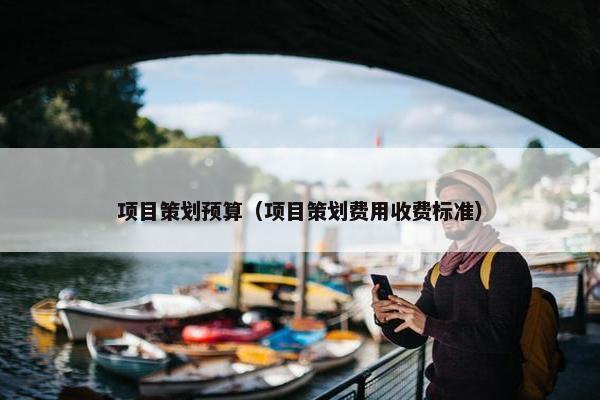 项目策划预算（项目策划费用收费标准）