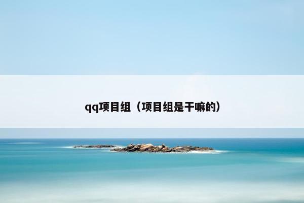 qq项目组（项目组是干嘛的）