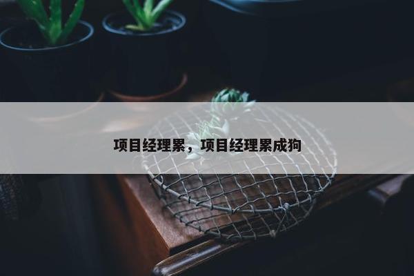 项目经理累，项目经理累成狗