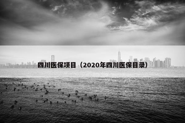 四川医保项目（2020年四川医保目录）