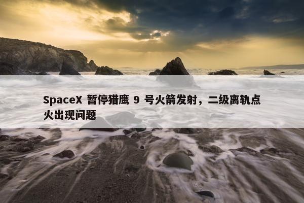 SpaceX 暂停猎鹰 9 号火箭发射，二级离轨点火出现问题