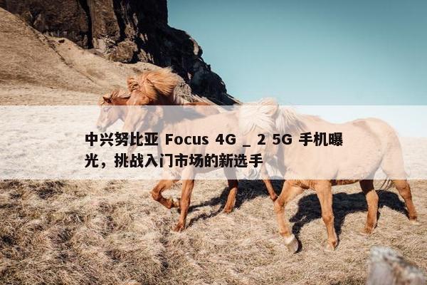 中兴努比亚 Focus 4G _ 2 5G 手机曝光，挑战入门市场的新选手