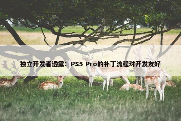 独立开发者透露：PS5 Pro的补丁流程对开发友好